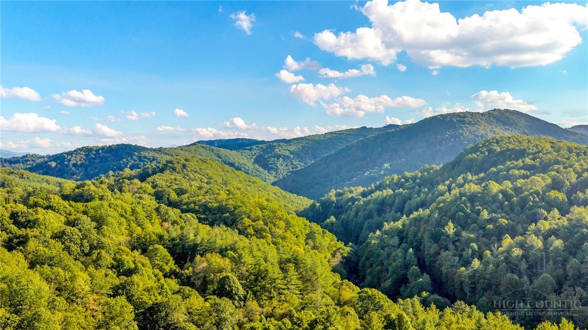 Tbd Mud Creek Road Property Photo 3
