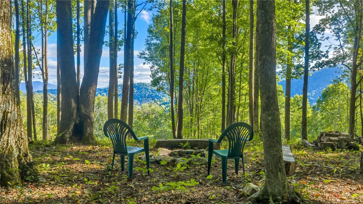 Tbd Mud Creek Road Property Photo 4