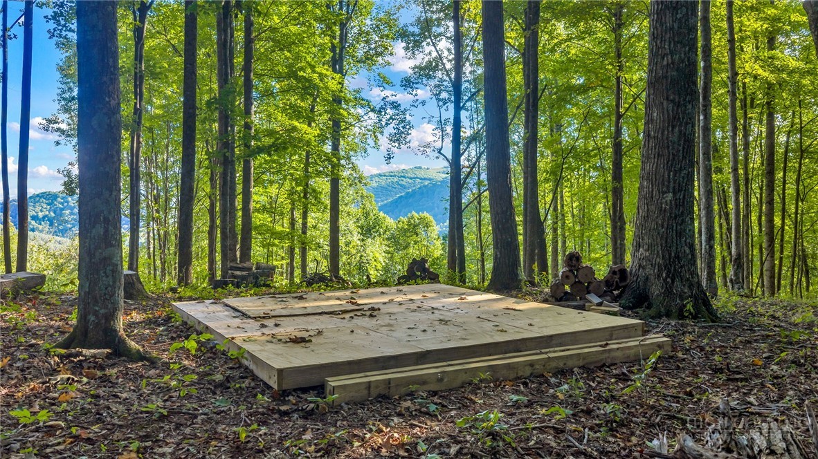 Tbd Mud Creek Road Property Photo 5