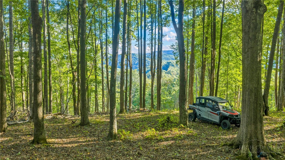 Tbd Mud Creek Road Property Photo 6