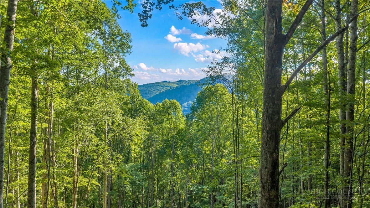 Tbd Mud Creek Road Property Photo 7