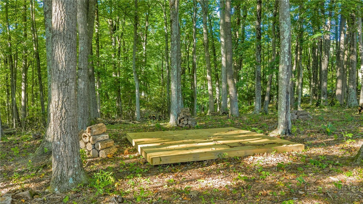 Tbd Mud Creek Road Property Photo 8