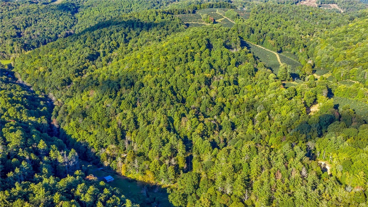 Tbd Mud Creek Road Property Photo 9