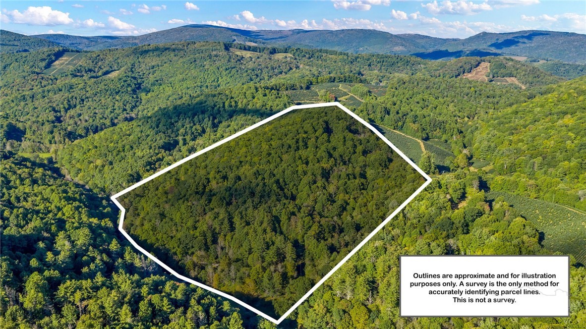 Tbd Mud Creek Road Property Photo 10