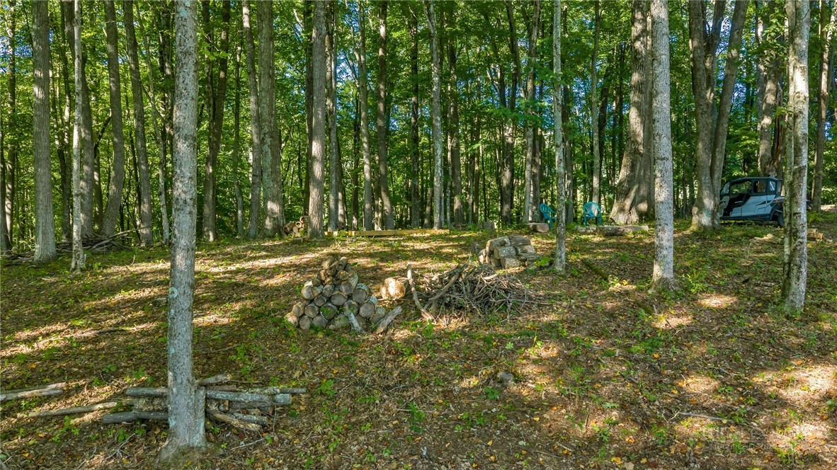 Tbd Mud Creek Road Property Photo 11