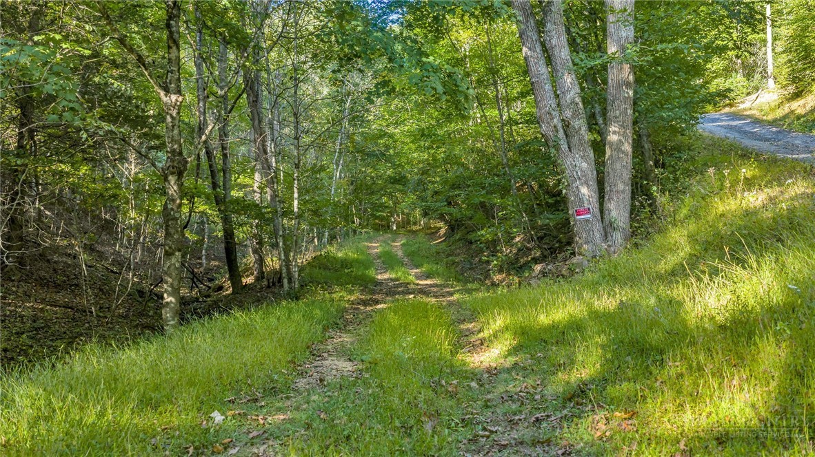Tbd Mud Creek Road Property Photo 12