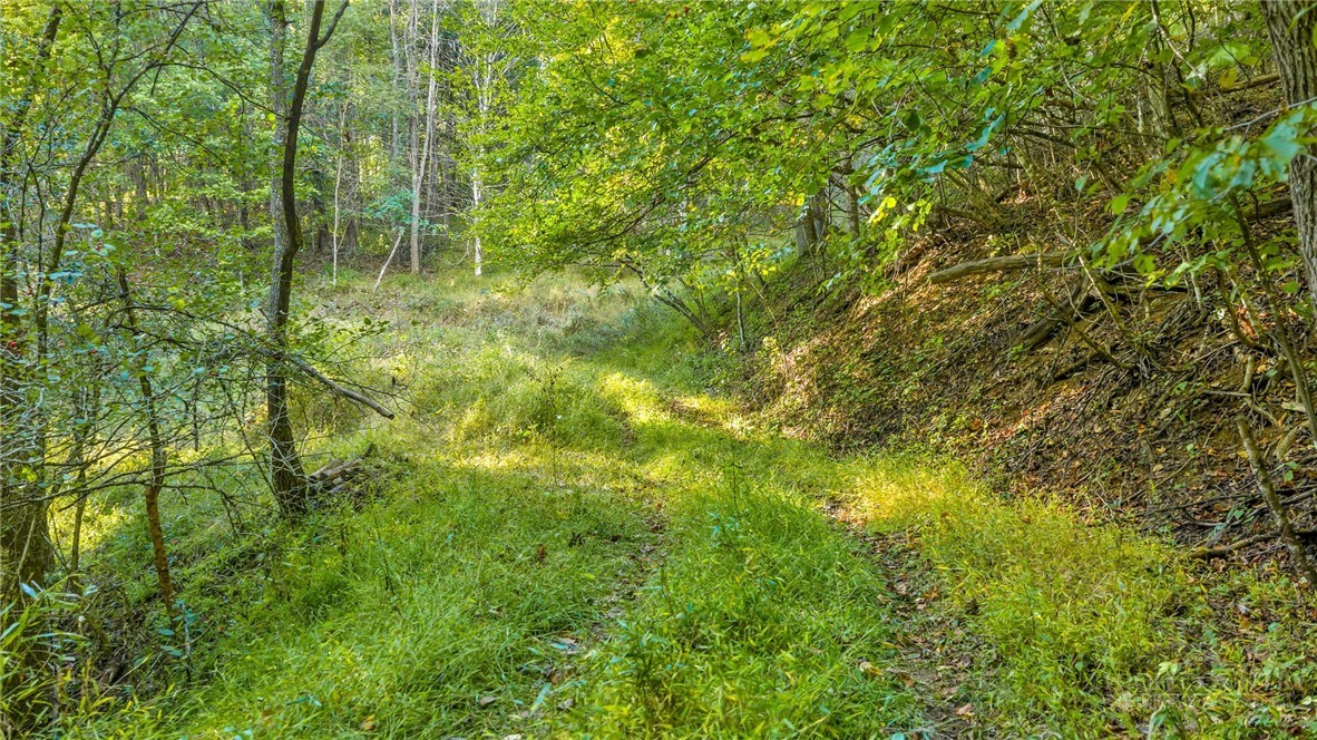 Tbd Mud Creek Road Property Photo 13