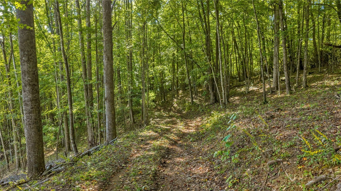 Tbd Mud Creek Road Property Photo 14