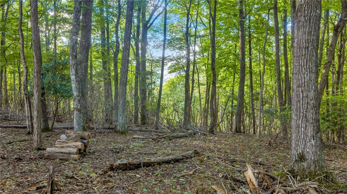 Tbd Mud Creek Road Property Photo 15
