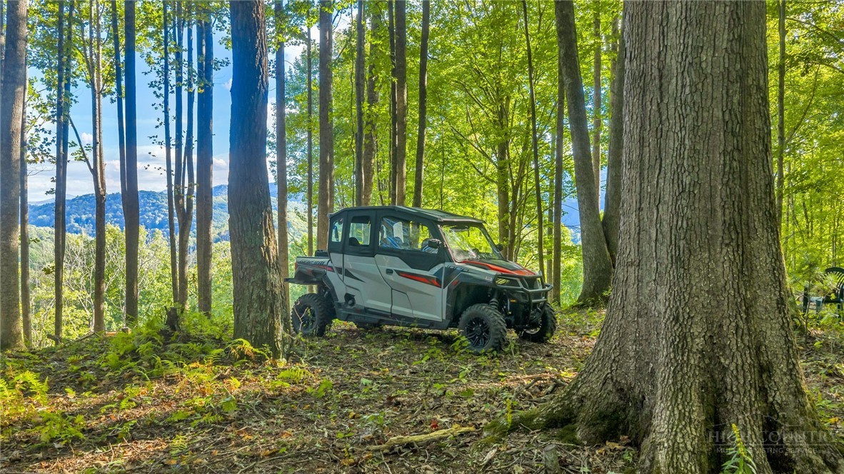 Tbd Mud Creek Road Property Photo 16