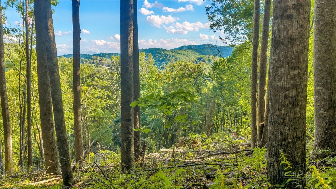 Tbd Mud Creek Road Property Photo 17