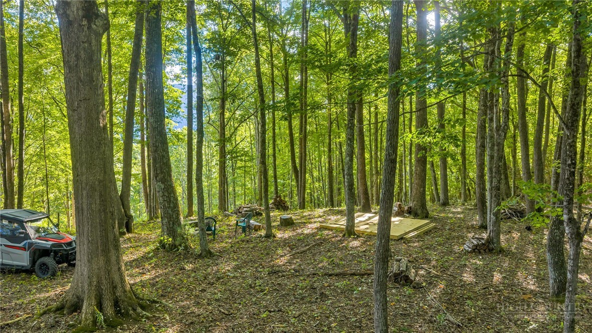 Tbd Mud Creek Road Property Photo 18