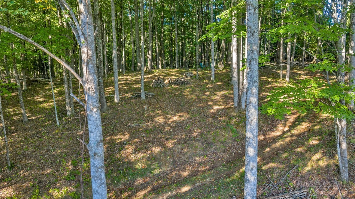 Tbd Mud Creek Road Property Photo 19