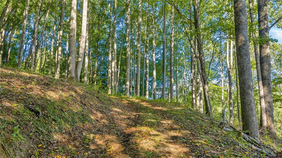 Tbd Mud Creek Road Property Photo 20