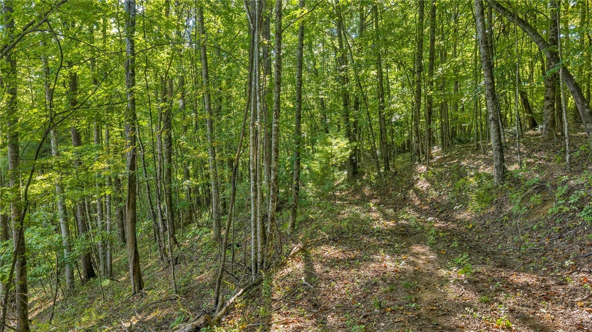 Tbd Mud Creek Road Property Photo 21