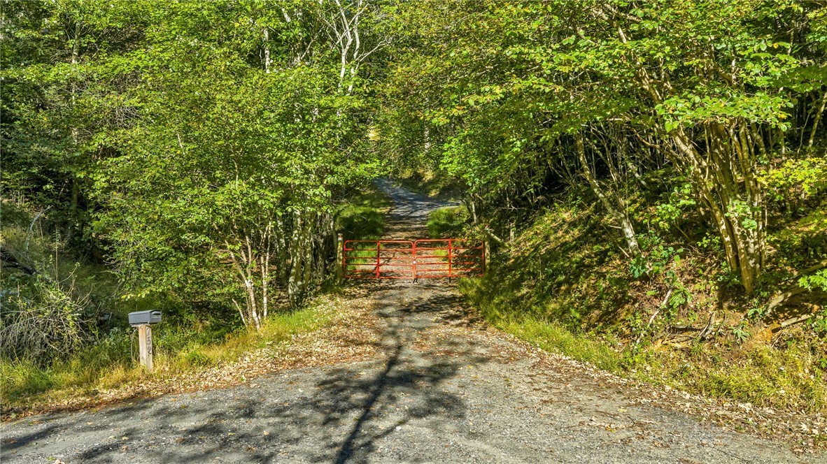 Tbd Mud Creek Road Property Photo 22