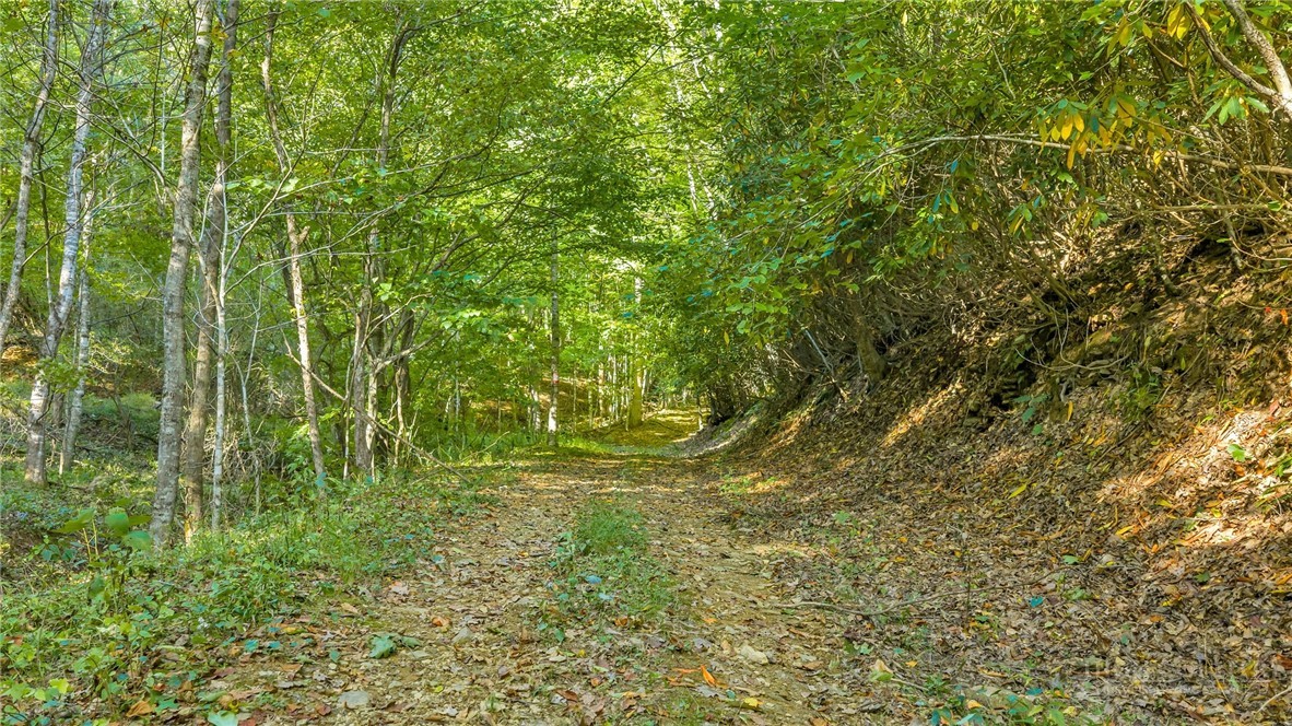 Tbd Mud Creek Road Property Photo 23