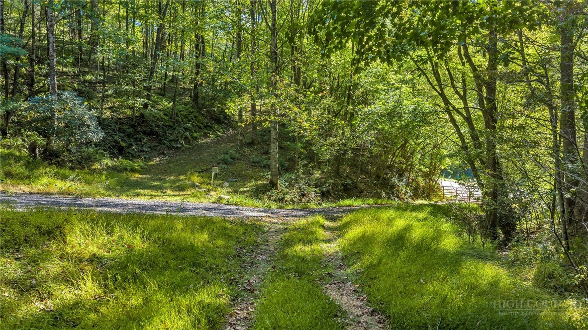 Tbd Mud Creek Road Property Photo 24