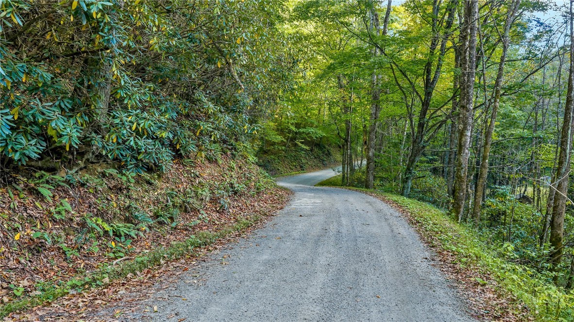 Tbd Mud Creek Road Property Photo 25