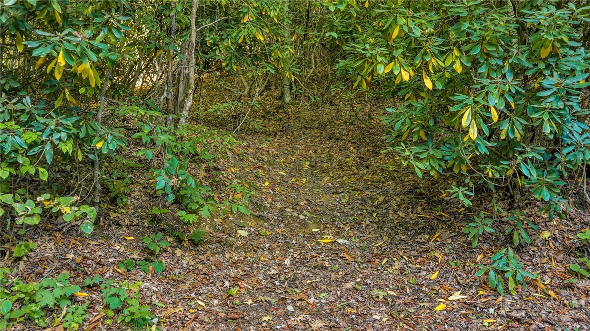 Tbd Mud Creek Road Property Photo 26
