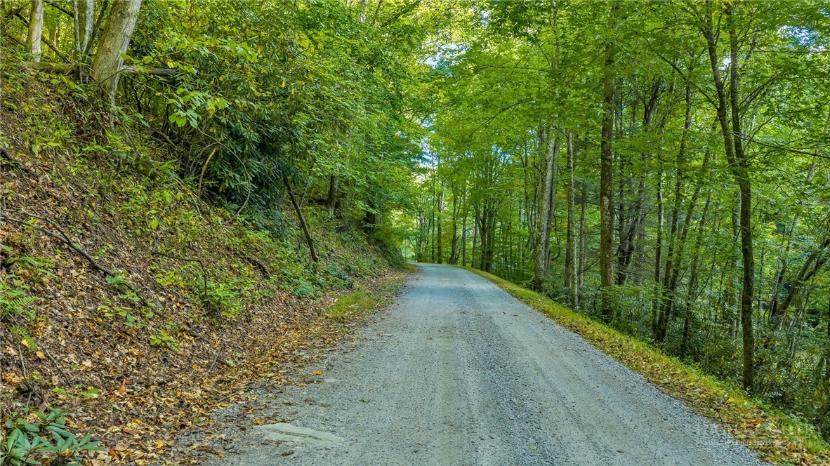 Tbd Mud Creek Road Property Photo 27