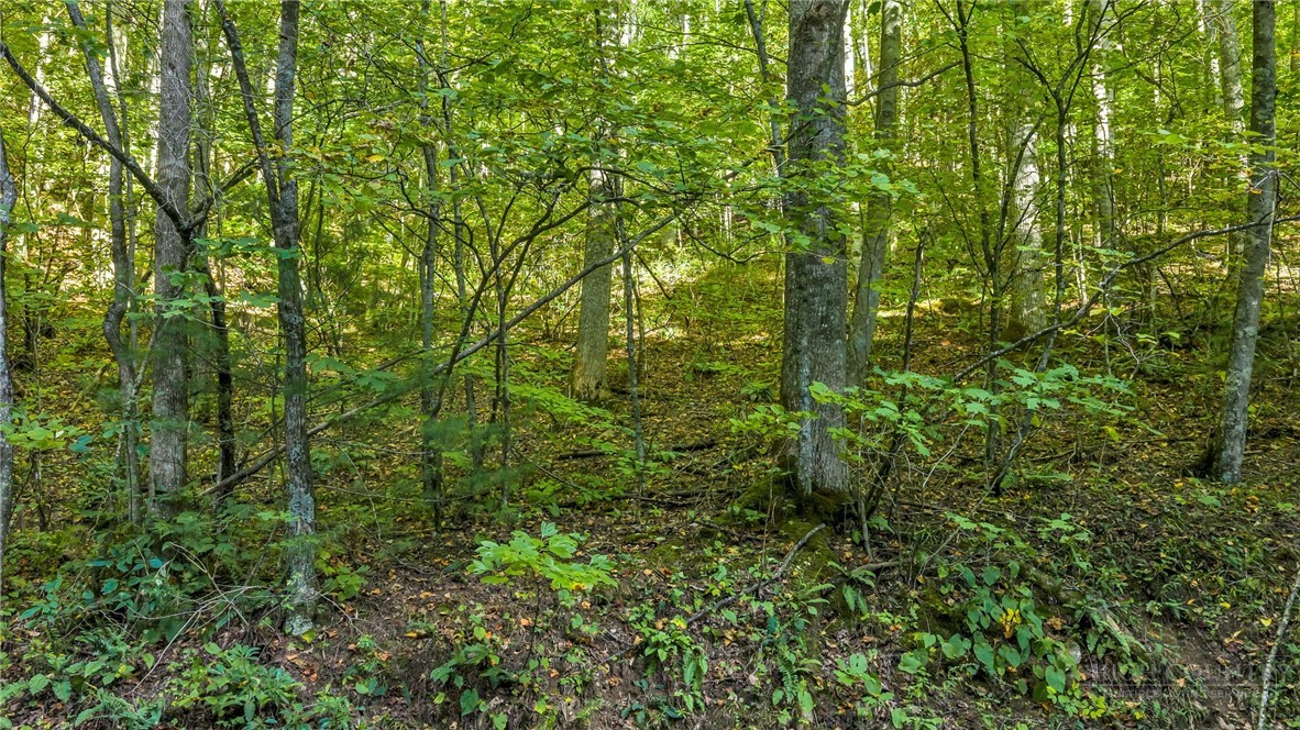 Tbd Mud Creek Road Property Photo 28
