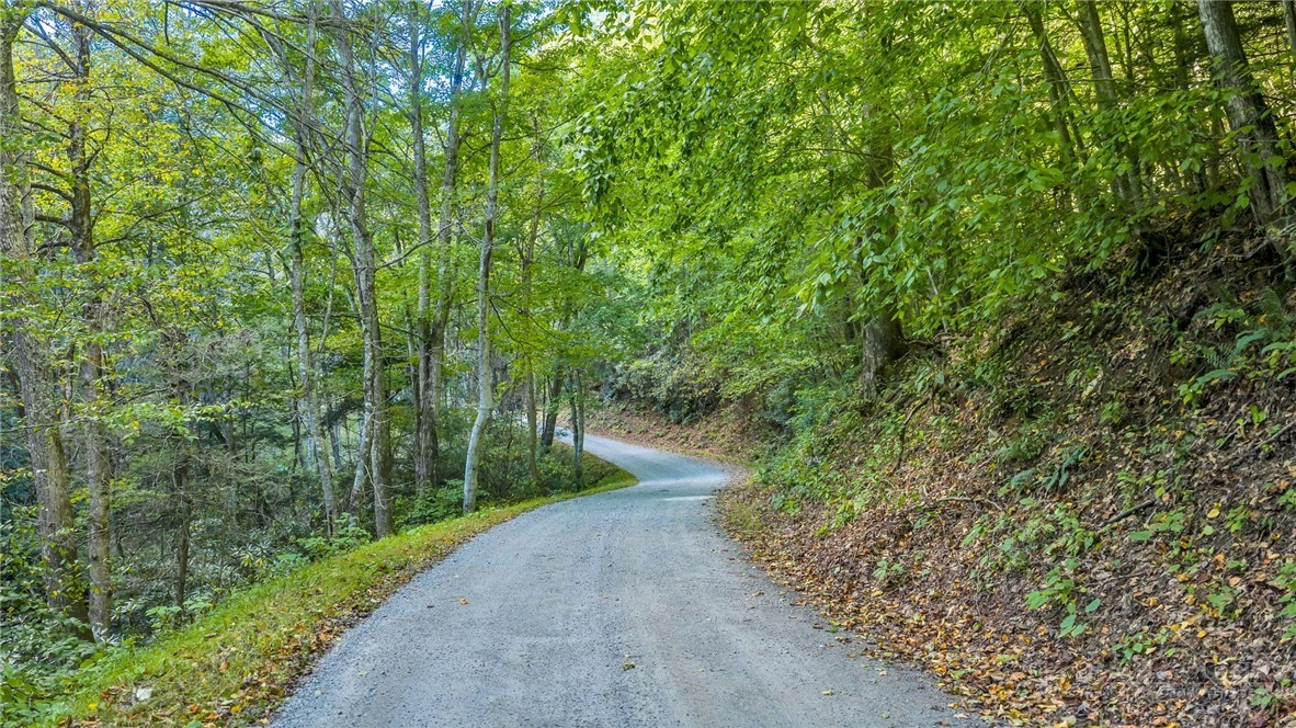 Tbd Mud Creek Road Property Photo 29