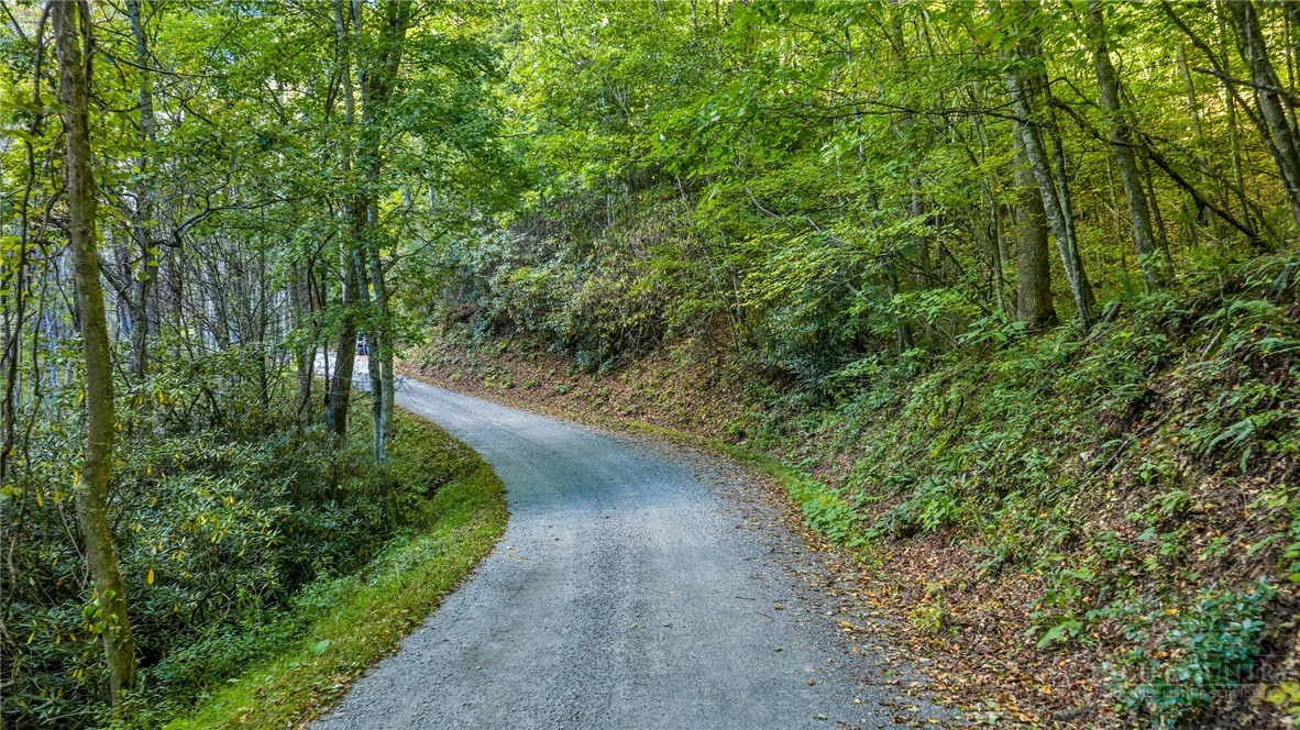 Tbd Mud Creek Road Property Photo 30