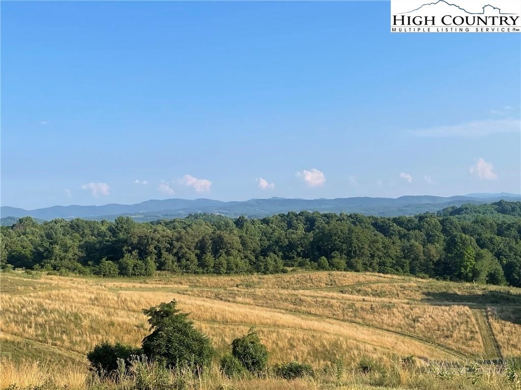 7764 Wilson Highway Property Photo 2
