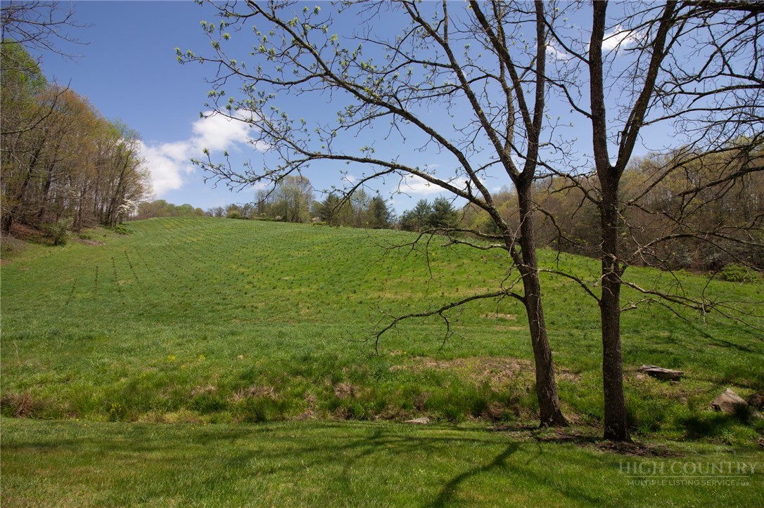 7764 Wilson Highway Property Photo 10
