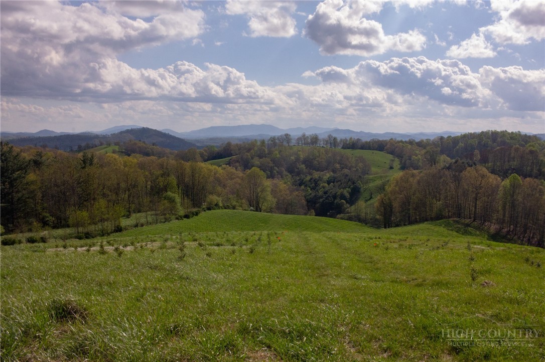 7764 Wilson Highway Property Photo 15