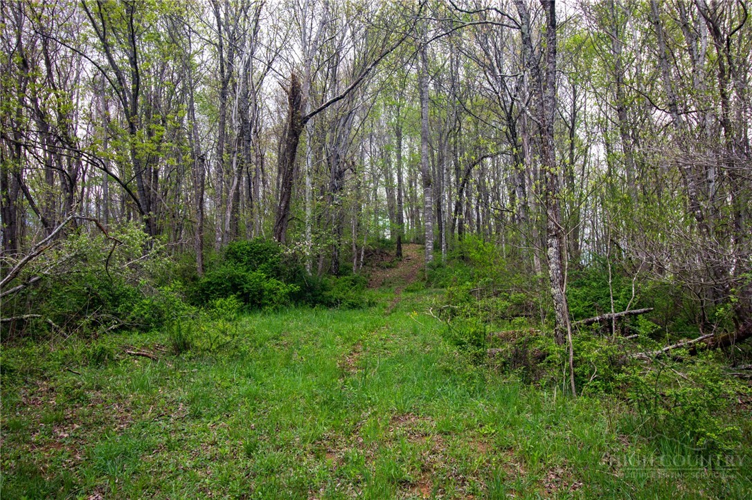 7764 Wilson Highway Property Photo 36