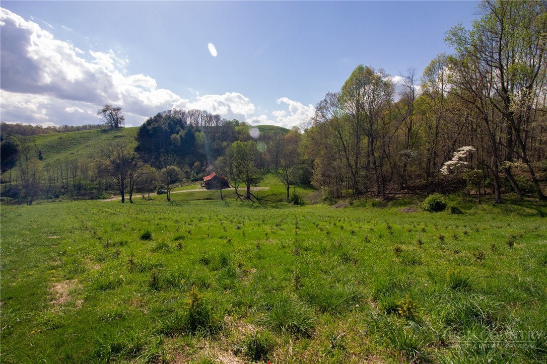 7764 Wilson Highway Property Photo 38