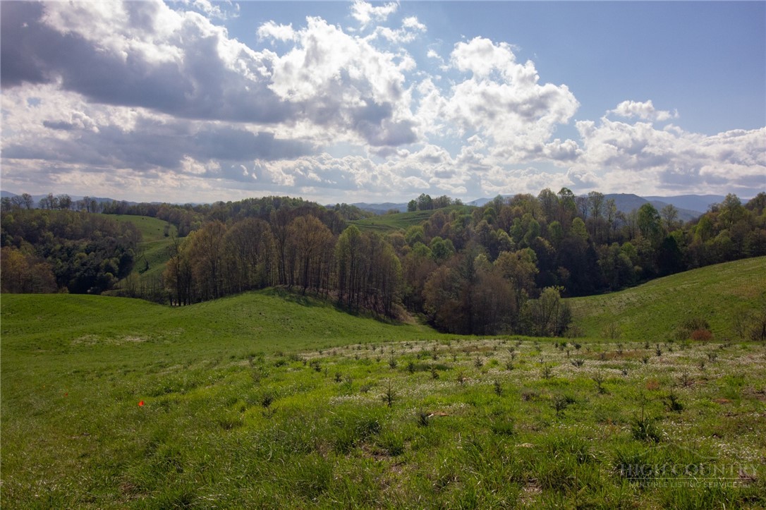 7764 Wilson Highway Property Photo 39