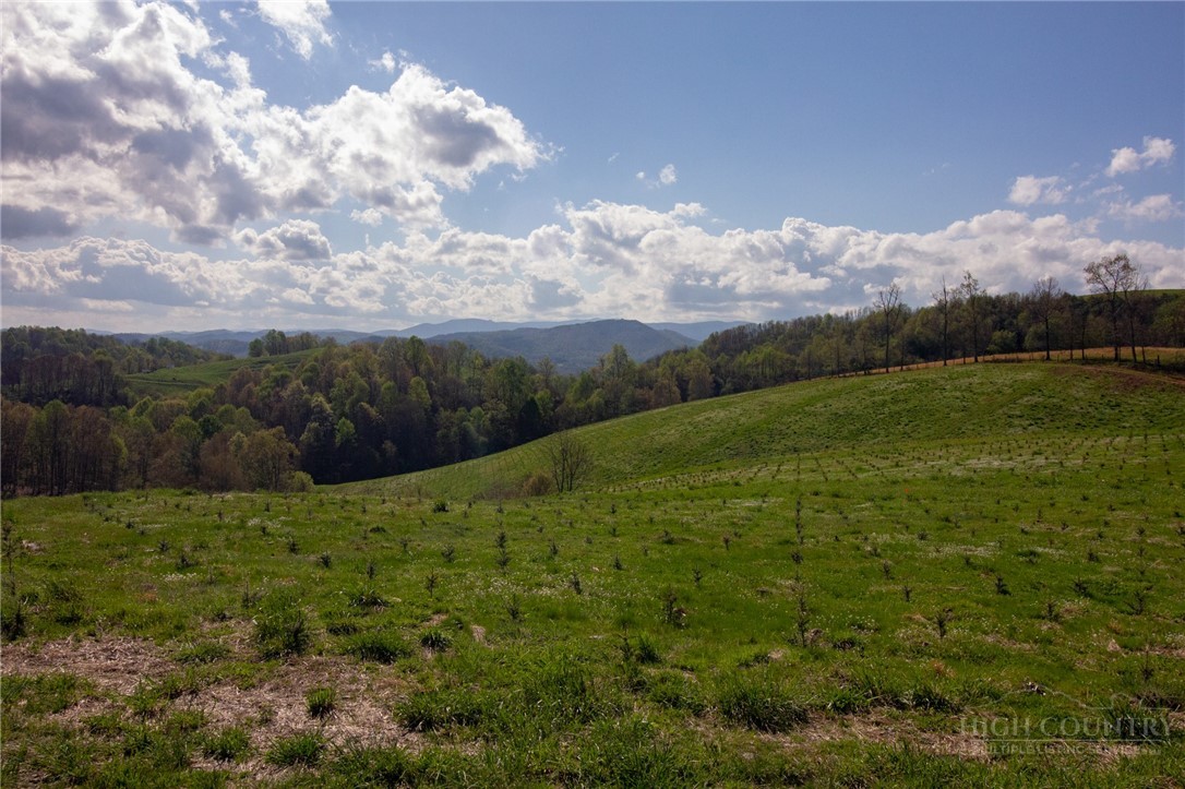 7764 Wilson Highway Property Photo 40