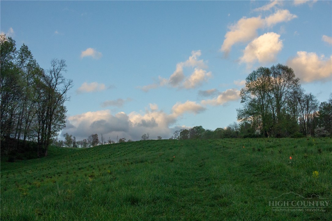 7764 Wilson Highway Property Photo 42