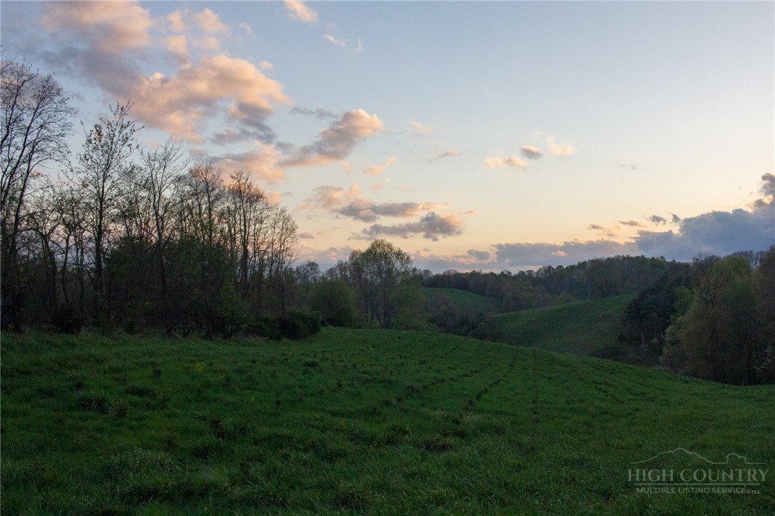 7764 Wilson Highway Property Photo 43