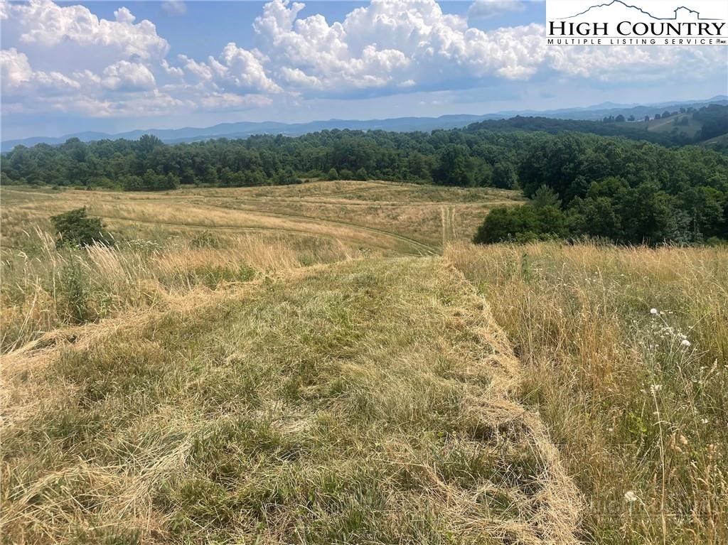 7764 Wilson Highway Property Photo 49