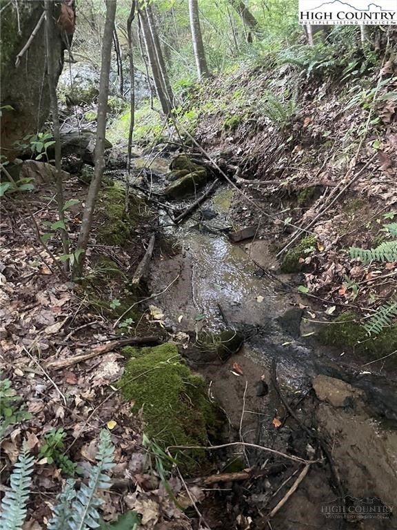 7764 Wilson Highway Property Photo 50