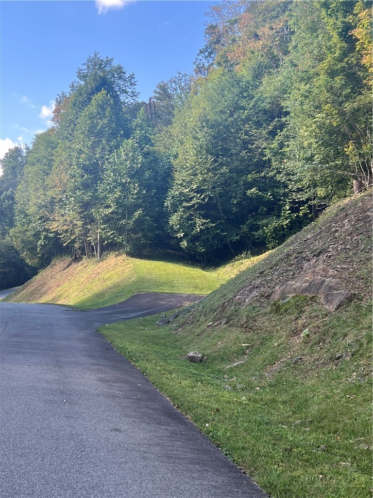 172 Hump View Trail Property Photo 1