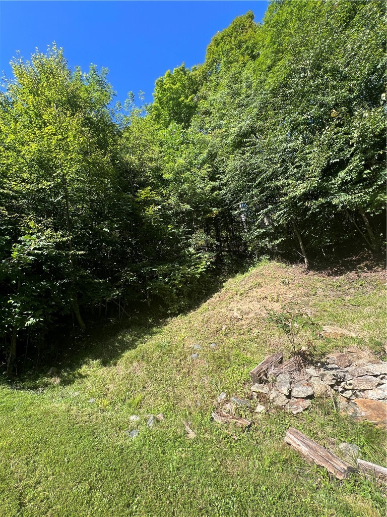 172 Hump View Trail Property Photo 2