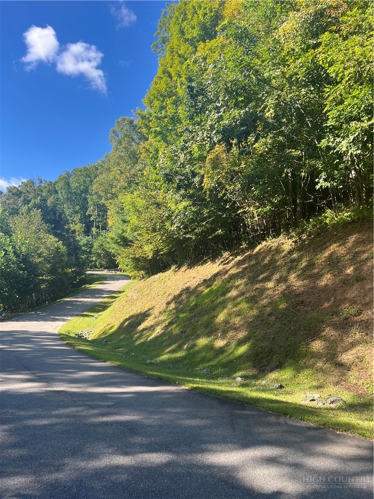 172 Hump View Trail Property Photo 4