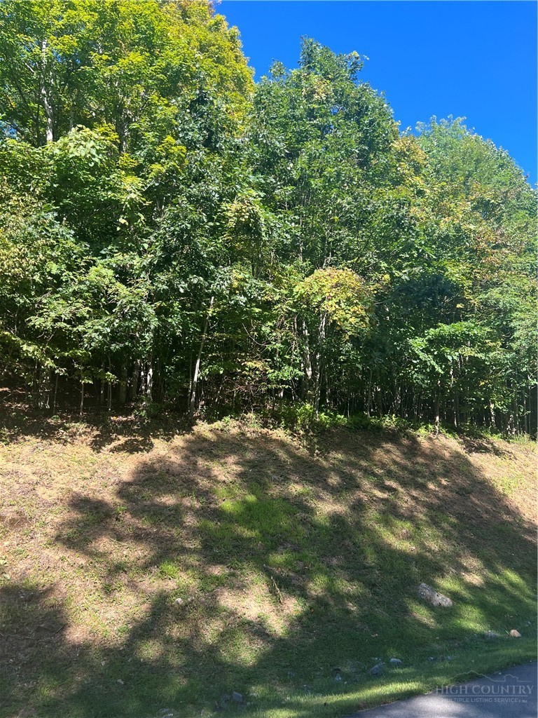 172 Hump View Trail Property Photo 5