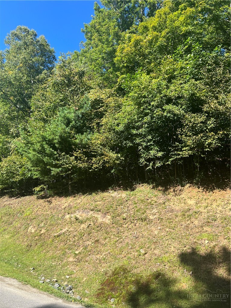 172 Hump View Trail Property Photo 6