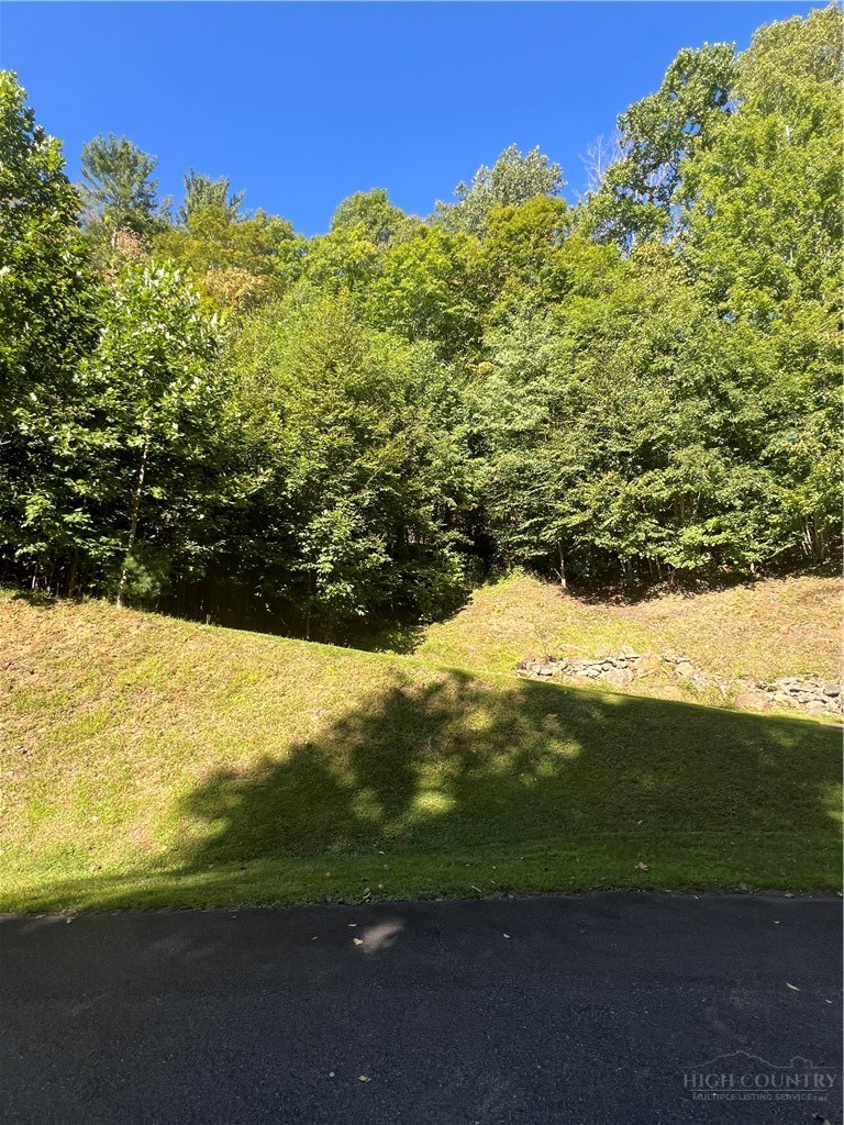 172 Hump View Trail Property Photo 7