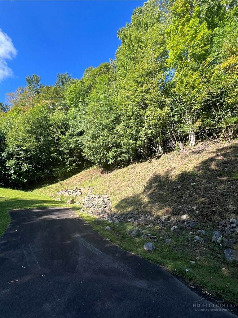 172 Hump View Trail Property Photo 9