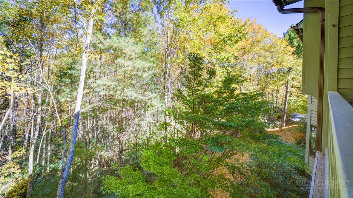 140 Pond View Lane Blue Ridge #4 Property Photo 27