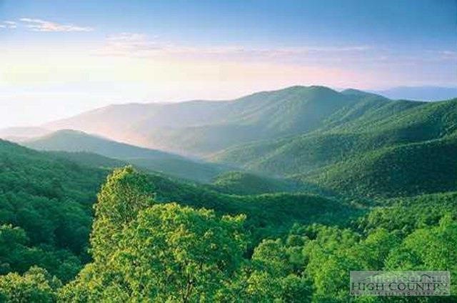 Lot 10 Heavenly Mountain Drive Property Photo 1