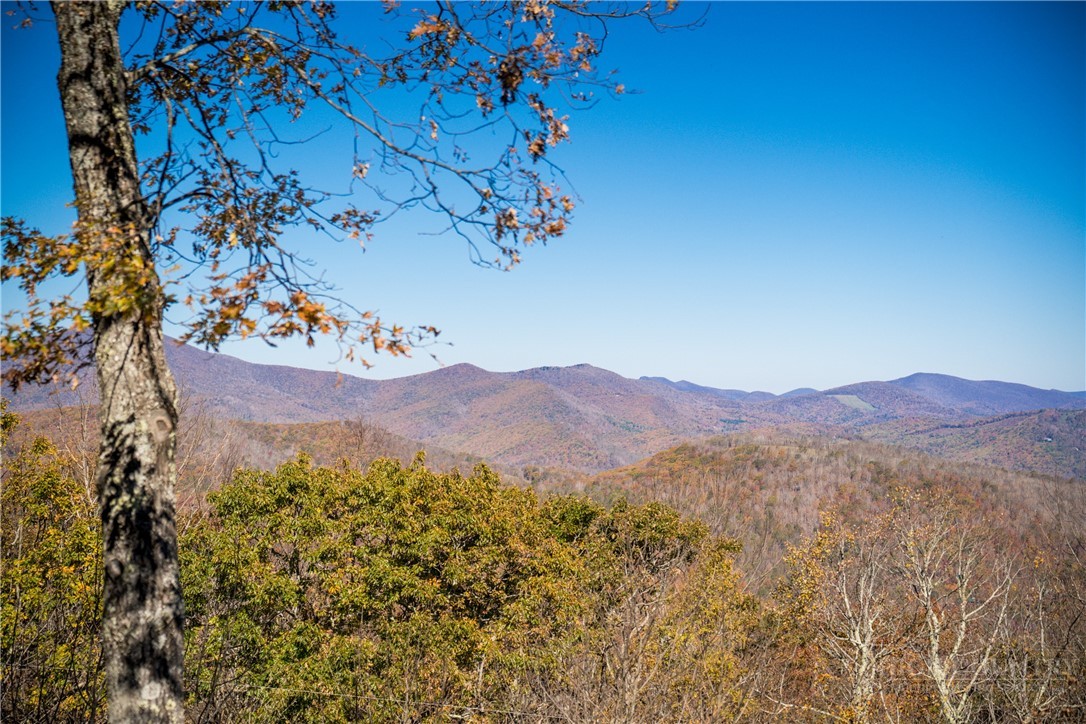 359 Running Deer Trail Property Photo 29