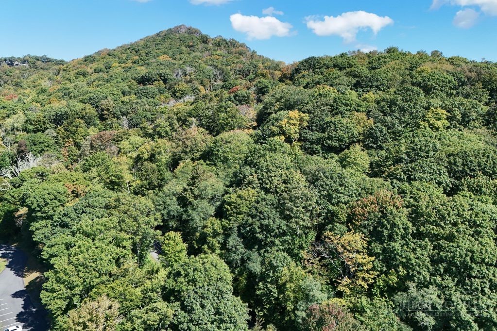 Lot 1 Castlefern Road Property Photo 6